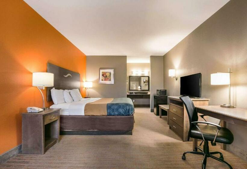 Номер Стандарт Кровать Кинг Адаптированный для Инвалидов, Econo Lodge Forrest City I 40