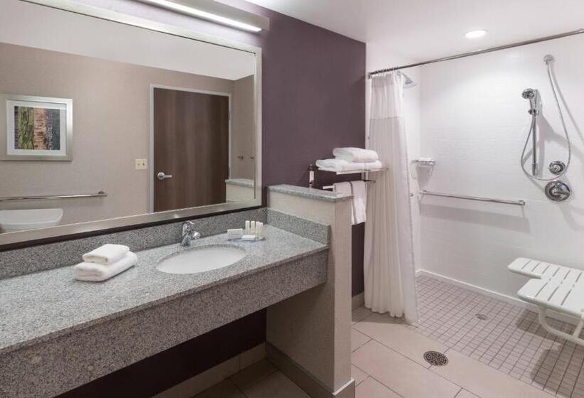 带大床的标准间, Fairfield Inn & Suites By Marriott Chicago Schaumburg