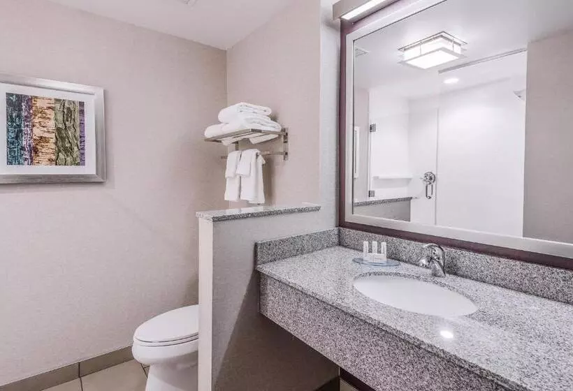 Standard-huone King-vuode, Fairfield Inn & Suites By Marriott Chicago Schaumburg