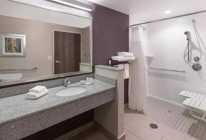 Standard-huone, Fairfield Inn & Suites By Marriott Chicago Schaumburg
