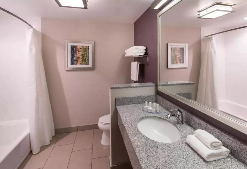 Standard-huone, Fairfield Inn & Suites By Marriott Chicago Schaumburg