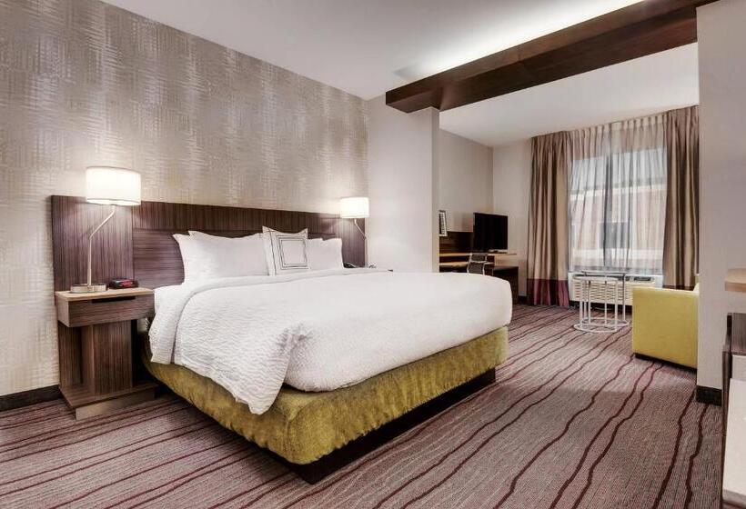 带大床的套房, Fairfield Inn & Suites By Marriott Chicago Schaumburg