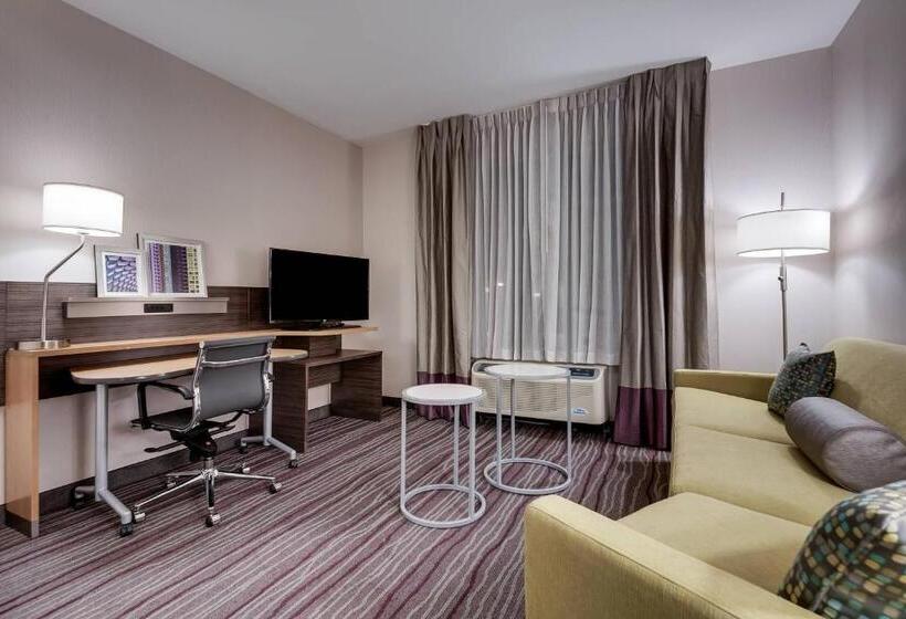 带大床的套房, Fairfield Inn & Suites By Marriott Chicago Schaumburg