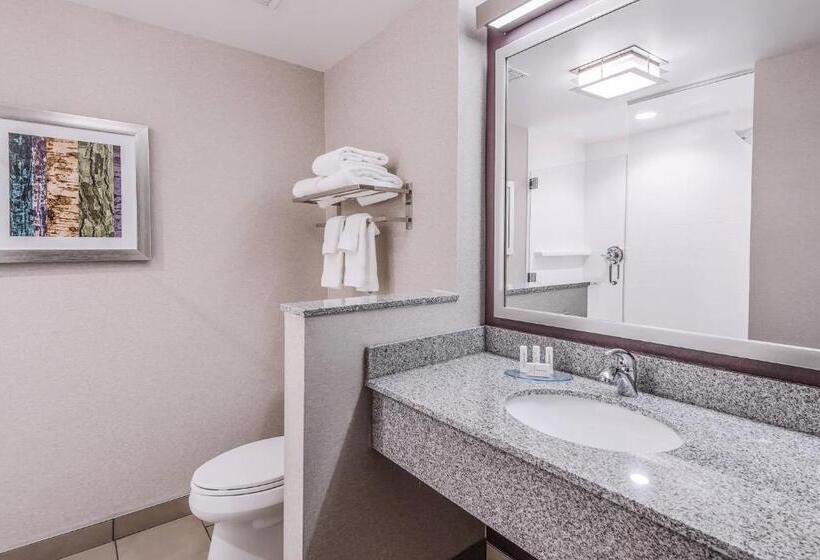 Suite King Size Bed, Fairfield Inn & Suites By Marriott Chicago Schaumburg