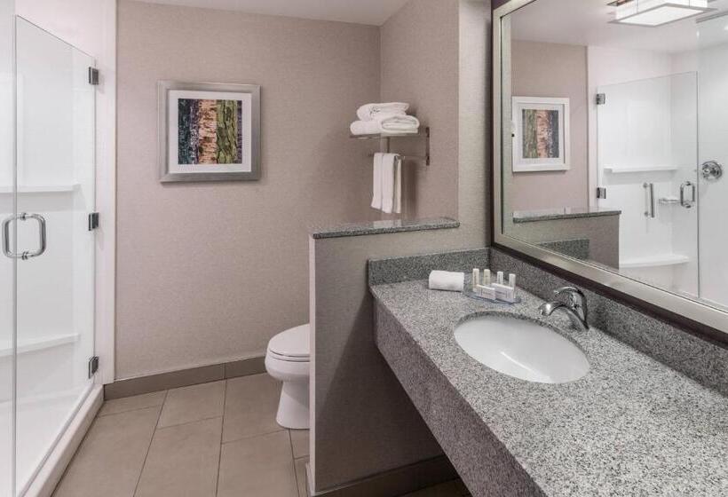 带大床的套房, Fairfield Inn & Suites By Marriott Chicago Schaumburg