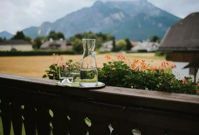 اتاق راحتی, Friesachers Aniferhof