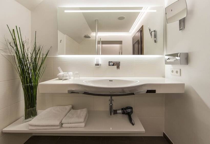 غرفة قياسية فردية, Friesachers Aniferhof