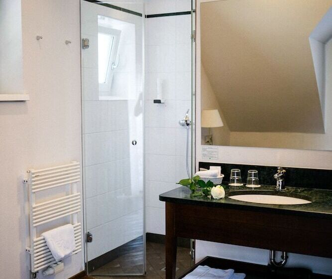 غرفة قياسية سرير مزدوج, Friesachers Aniferhof