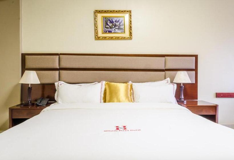Standard Room, Hillside Plaza