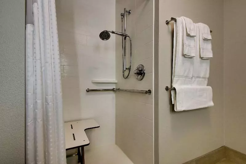اتاق استاندارد با تخت بزرگ برای معلولان, Holiday Inn Express & Suites   Mount Vernon, An Ihg