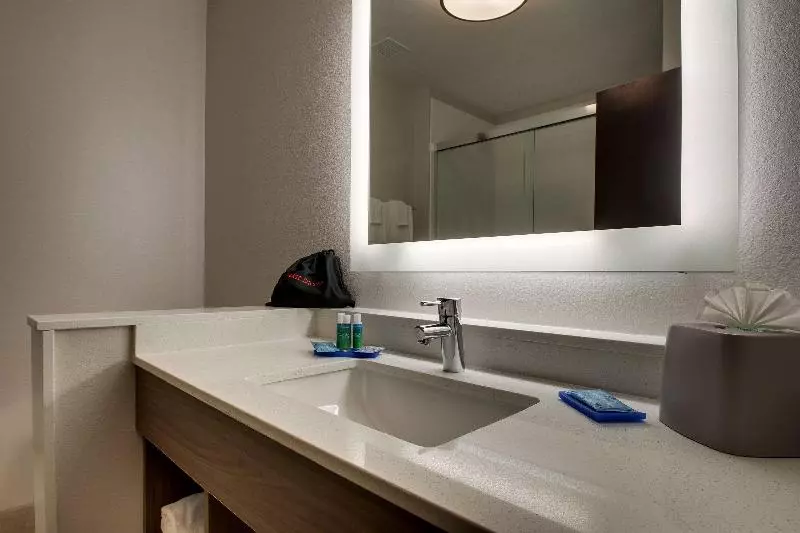 اتاق استاندارد با تخت بزرگ برای معلولان, Holiday Inn Express & Suites   Mount Vernon, An Ihg