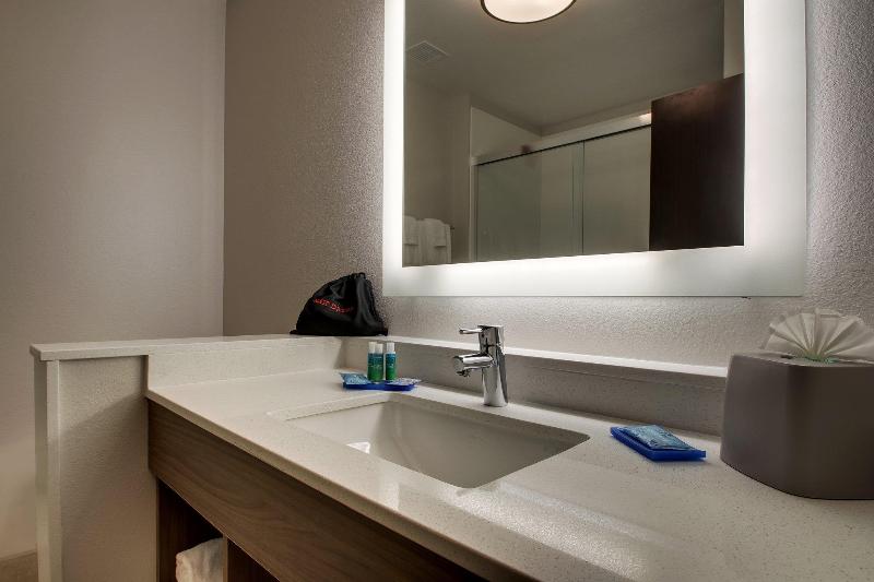 Номер Стандарт Кровать Кинг Адаптированный для Инвалидов, Holiday Inn Express & Suites   Mount Vernon, An Ihg