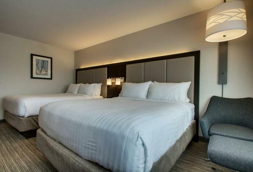 غرفة قياسية لذوى الاحتياجات الخاصة, Holiday Inn Express & Suites   Mount Vernon, An Ihg