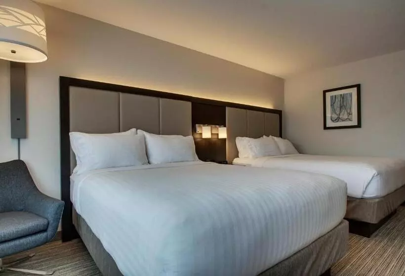 اتاق استاندارد, Holiday Inn Express & Suites   Mount Vernon, An Ihg