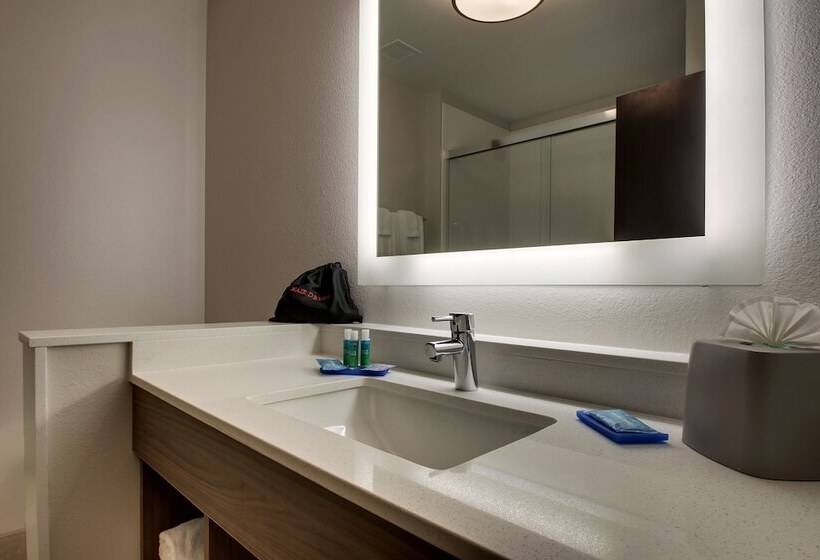 جناح لذوى الاحتياجات الخاصة, Holiday Inn Express & Suites   Mount Vernon, An Ihg