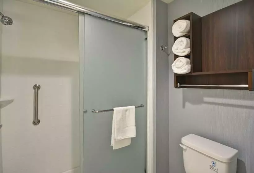 キングサイズベッドのデラックススイート, Homewood Suites By Hilton Phoenix Tempe Asu Area