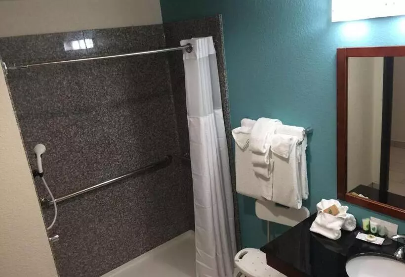 身障者適用キングサイズベッドルーム, Best Western Plus/executive Residency Elk City