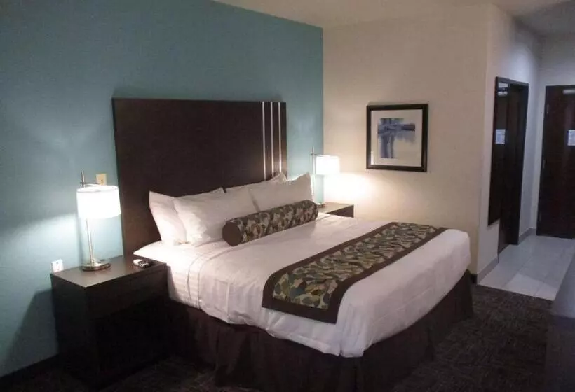 身障者適用キングサイズベッドルーム, Best Western Plus/executive Residency Elk City
