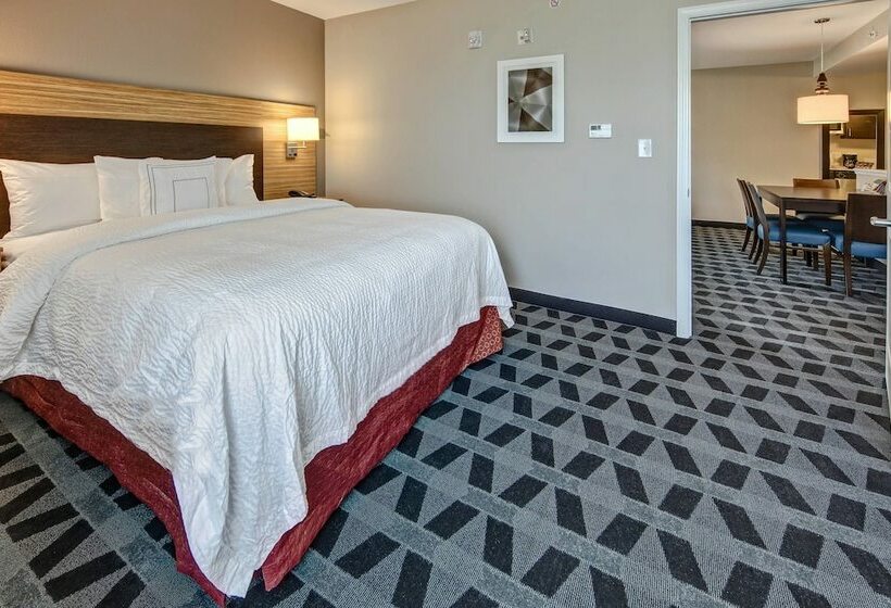带2个卧室的套房, Towneplace Suites By Marriott Auburn University Area