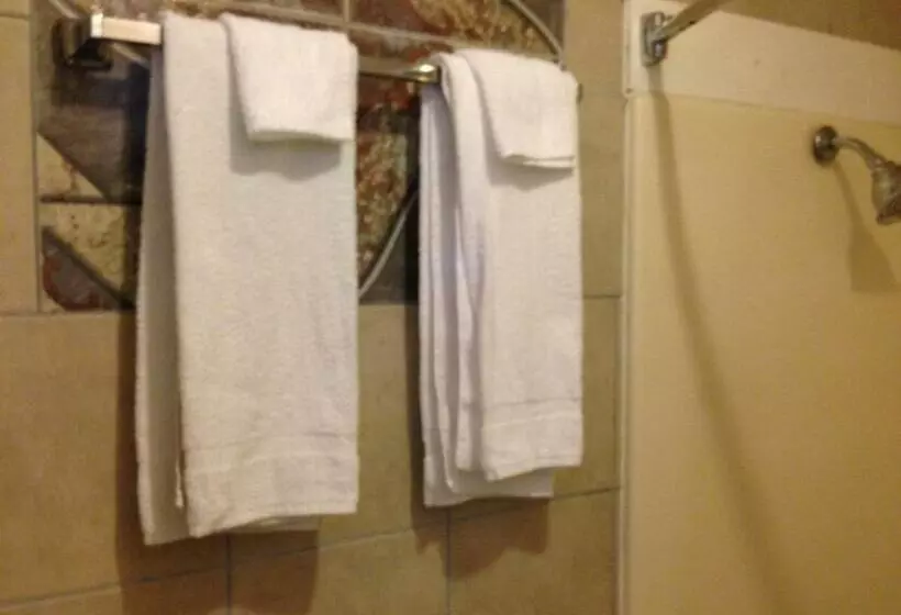 キングサイズベッドのスタンダードルーム, Executive Inn Robstown