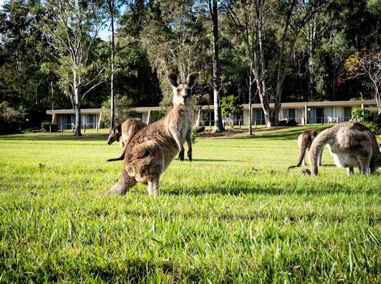 1 Bedroom Apartment Lake View, Cedar Lake Country Resort