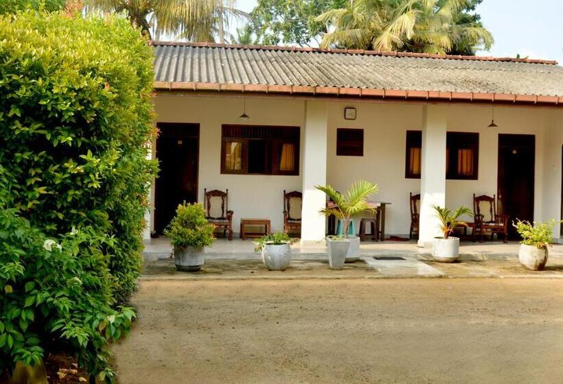 Трехместный Номер Стандарт Вид на Сад, Sunny Lanka Guest House