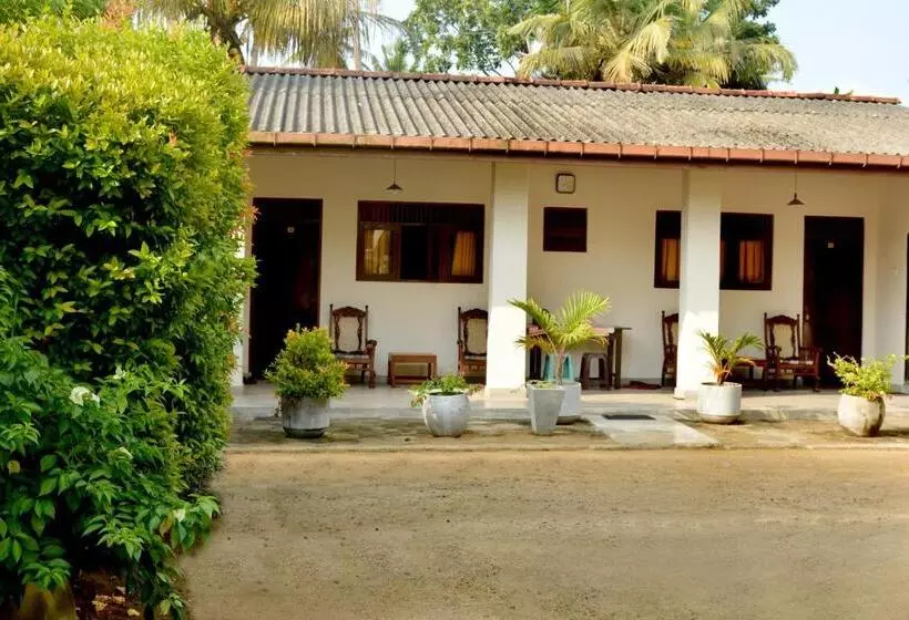 Standard Kolmen Hengen Huone Puutarhanäkymä, Sunny Lanka Guest House