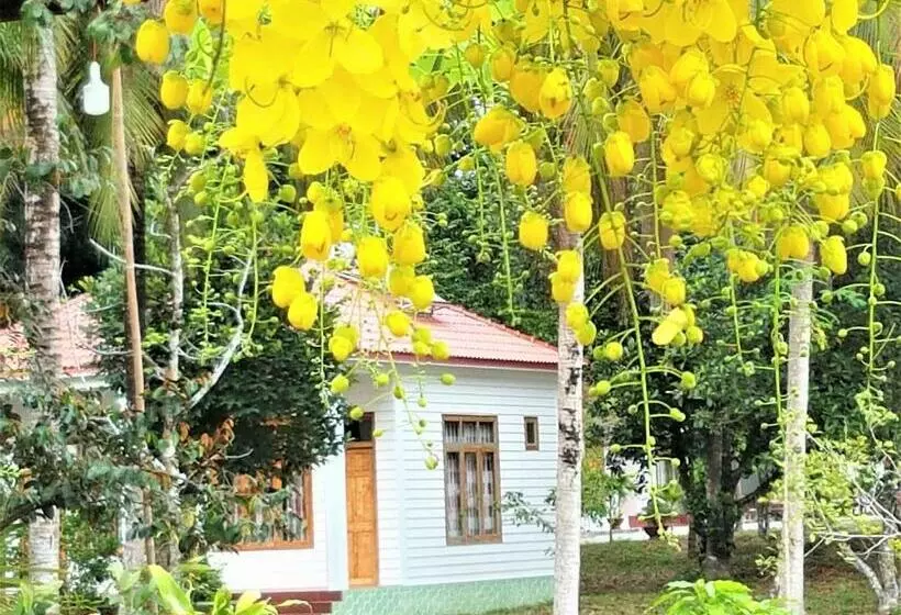 اتاق لوکس, Tang Thanh Phat Resort