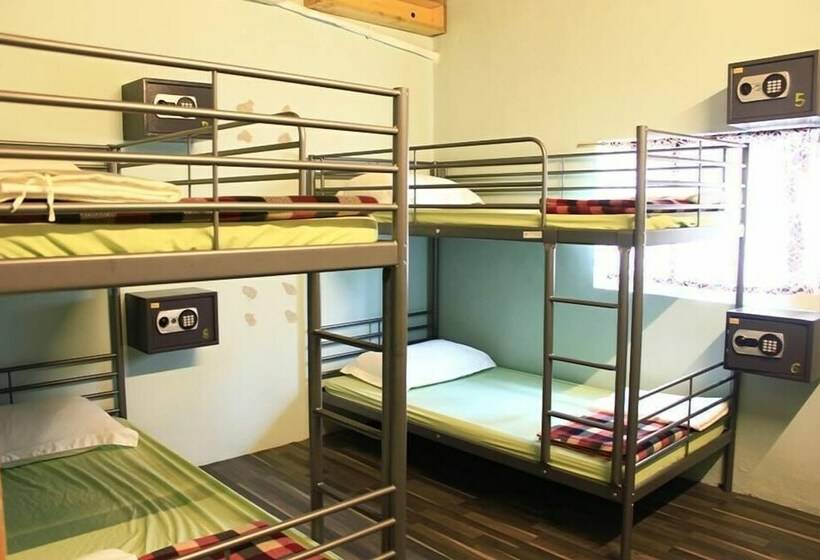 ルームシェアのワンベッド, Lia Backpacker Youth Hostel