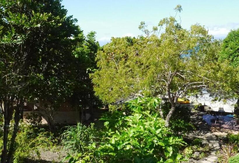 豪华房间, Moalboal T Breeze Coastal Resort