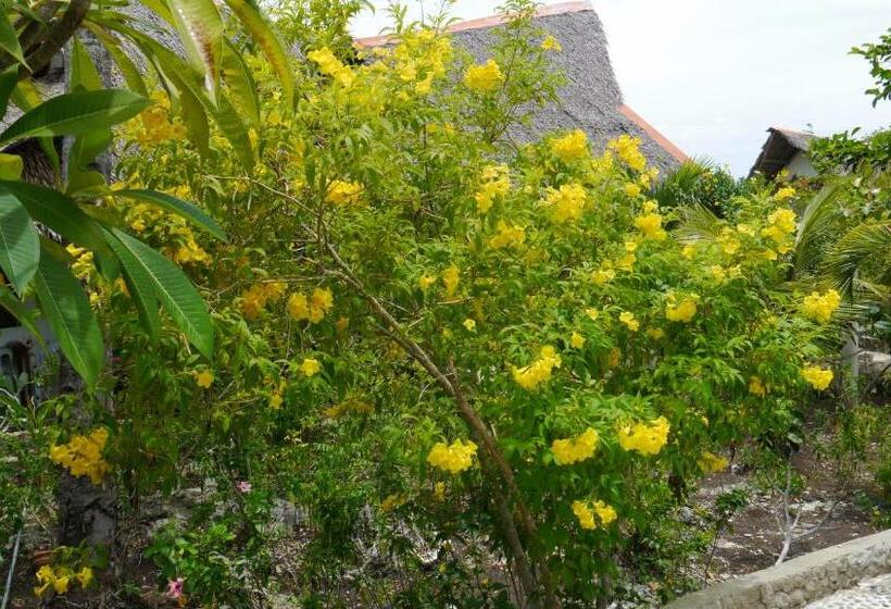 豪华房间, Moalboal T Breeze Coastal Resort