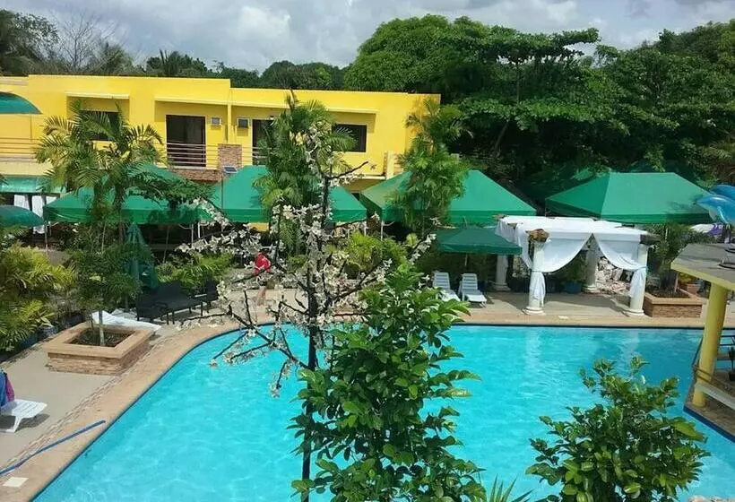 ルームシェアのワンベッド, Moalboal Tropics
