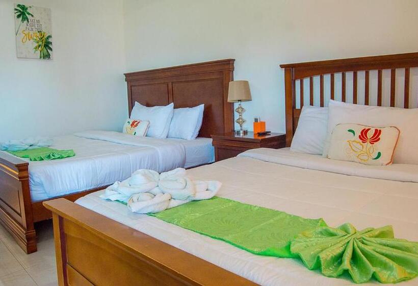 اتاق سوپریور, Moalboal Tropics