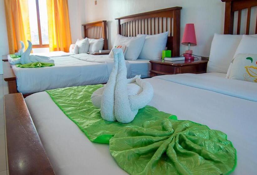 اتاق سوپریور خانوادگی, Moalboal Tropics