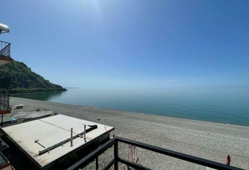 سوییت جونیور, Lazuri