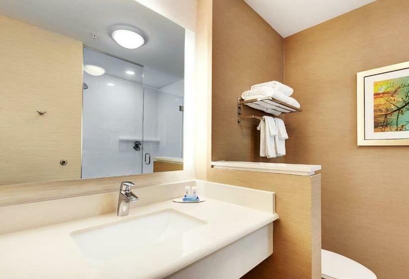 جناح سرير كينج, Fairfield Inn By Marriott Houston Northwest/willowbrook