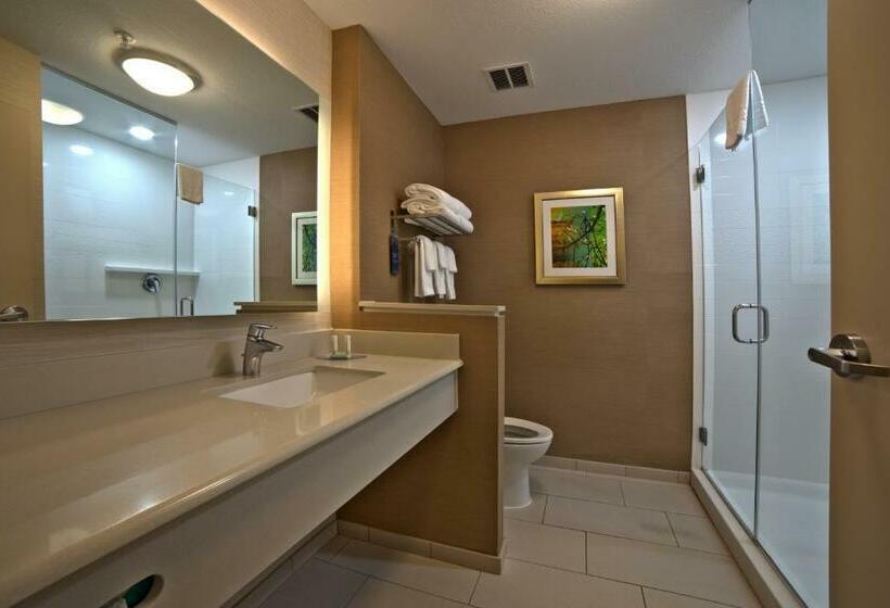 جناح سرير كينج, Fairfield Inn By Marriott Houston Northwest/willowbrook