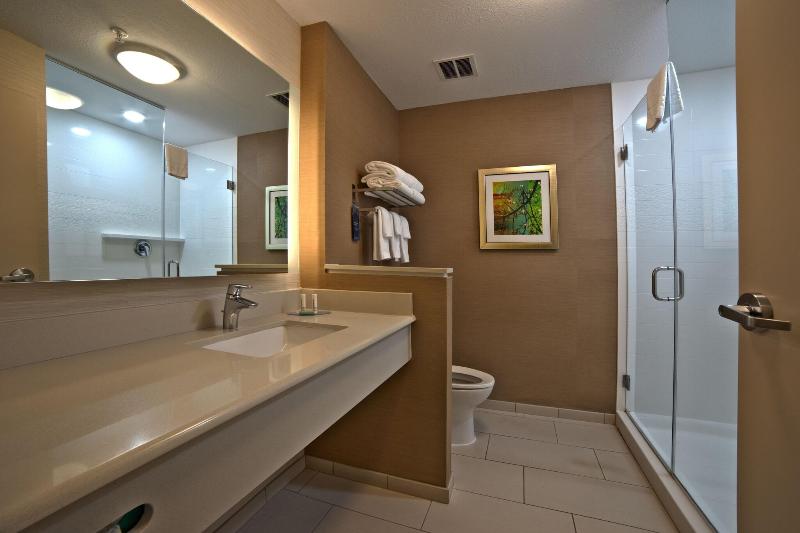 جناح سرير كينج, Fairfield Inn By Marriott Houston Northwest/willowbrook