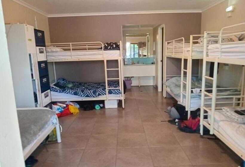 מיטה בחדר משותף, Hervey Bay Flashpackers