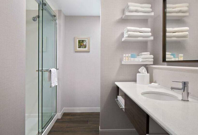 غرفة قياسية سرير كينج, Hampton Inn & Suitesseattle Woodinville Wa