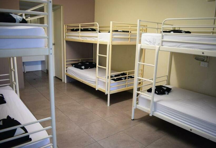 מיטה בחדר משותף, Hervey Bay Flashpackers