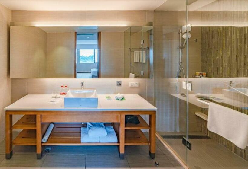 Номер Стандарт Индивидуальный, Hyatt Place Foshan Lishui