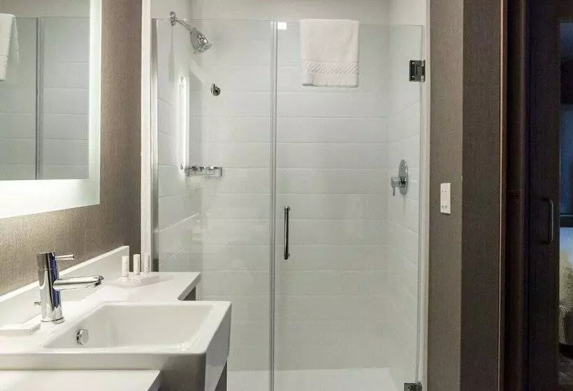 スタンダードスタジオ, Springhill Suites By Marriott Somerset Franklin Township