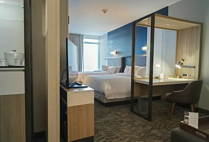 スタンダードスタジオ, Springhill Suites By Marriott Somerset Franklin Township
