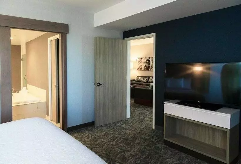 スタンダードスタジオ, Springhill Suites By Marriott Somerset Franklin Township
