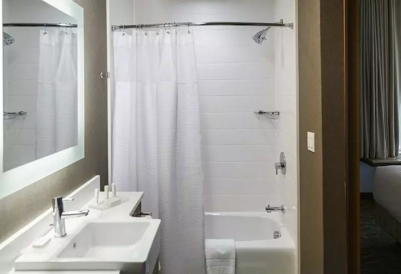 スタンダードスタジオ, Springhill Suites By Marriott Somerset Franklin Township