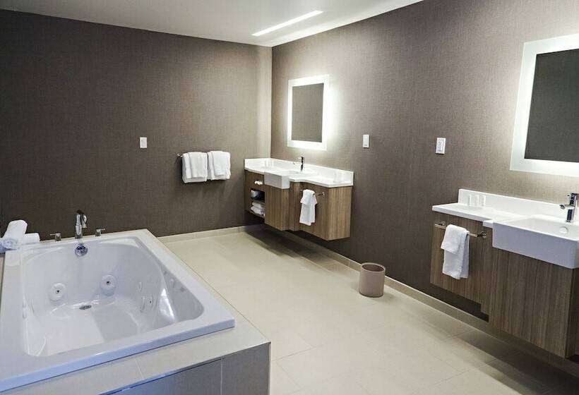 스탠다드 스튜디오, Springhill Suites By Marriott Somerset Franklin Township