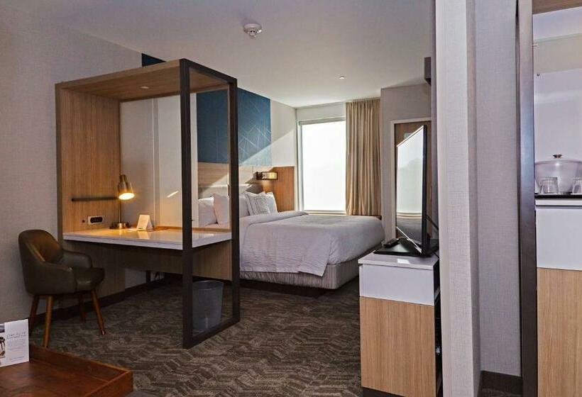 إستوديو قياسى سرير كينج, Springhill Suites By Marriott Somerset Franklin Township