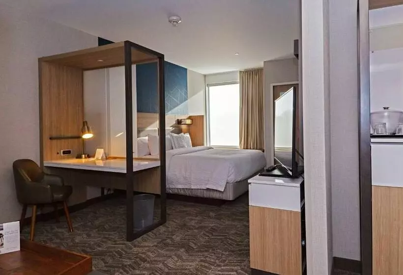 キングサイドベッドのスタンダードワンルーム, Springhill Suites By Marriott Somerset Franklin Township