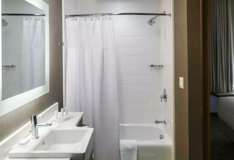 キングサイドベッドのスタンダードワンルーム, Springhill Suites By Marriott Somerset Franklin Township